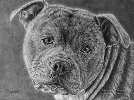 A pencil portrait drawing that I did for someone of their pet dog called Ice.​​ It was drawn on Canson Bristol board, size (21cm x 29.7cm).  Done using various grades of pencil ranging from 8B to 5H, HB & 2B mechanical pencils (0.5 mm), normal and putty erasers. Blending stumps, tortillions, cotton buds and tissues were used for blending.