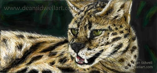 Serval. A digital drawing I did of an African wildcat. ​Drawn completely using a only a mouse. By Dean Sidwell