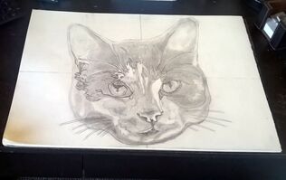 Dean Sidwell Art. Pop Art Cat work in progress tutorial 1. - Draw the large basic sketch on size A2 paper. ​Next stage is to start adding colour to it.