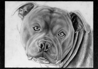 Dean Sidwell Art. Ice: Dog portrait. Work in progress tutorial 1. Basic shading of portrait