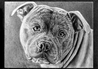 Dean Sidwell Art. Ice: Dog portrait. Work in progress tutorial 2. Adding detail and hair.