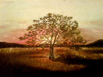 Tree - An old pastel drawing of an old tree in the sunset. Soft pastels on A2 paper.